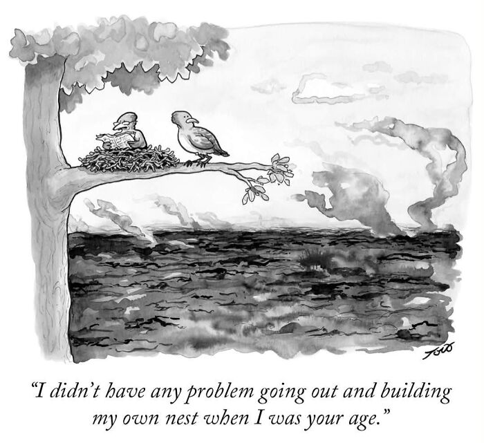 54 One-Panel Comics By Tom Toro That’ll Sneak Up On Your Funny Bone