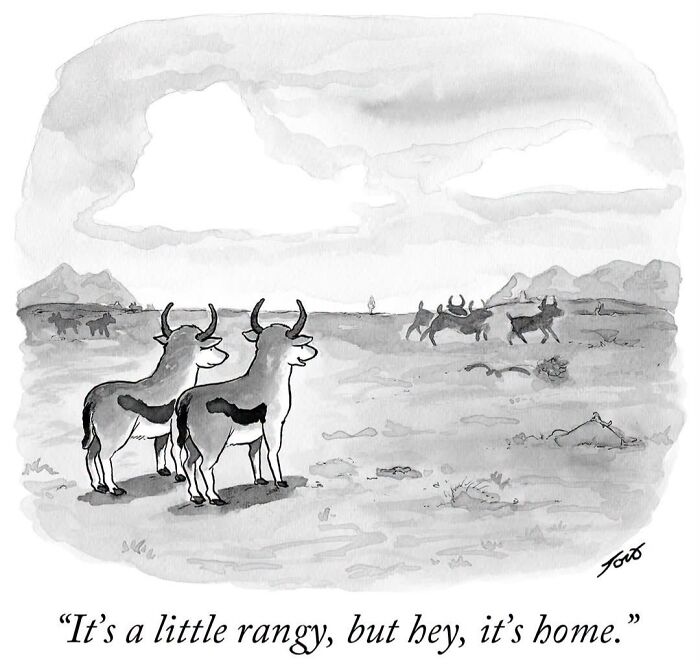 54 One-Panel Comics By Tom Toro That’ll Sneak Up On Your Funny Bone