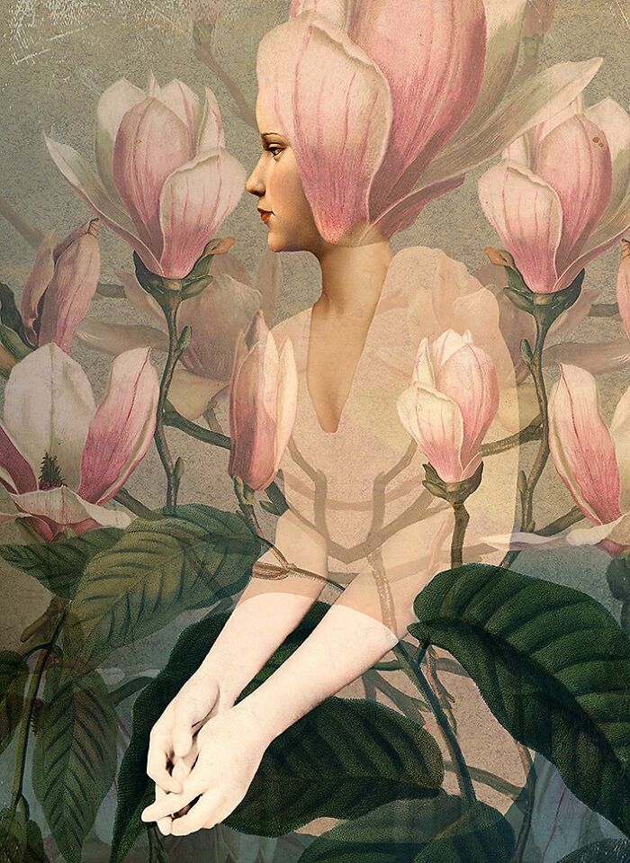 Small Magnolia Dreams