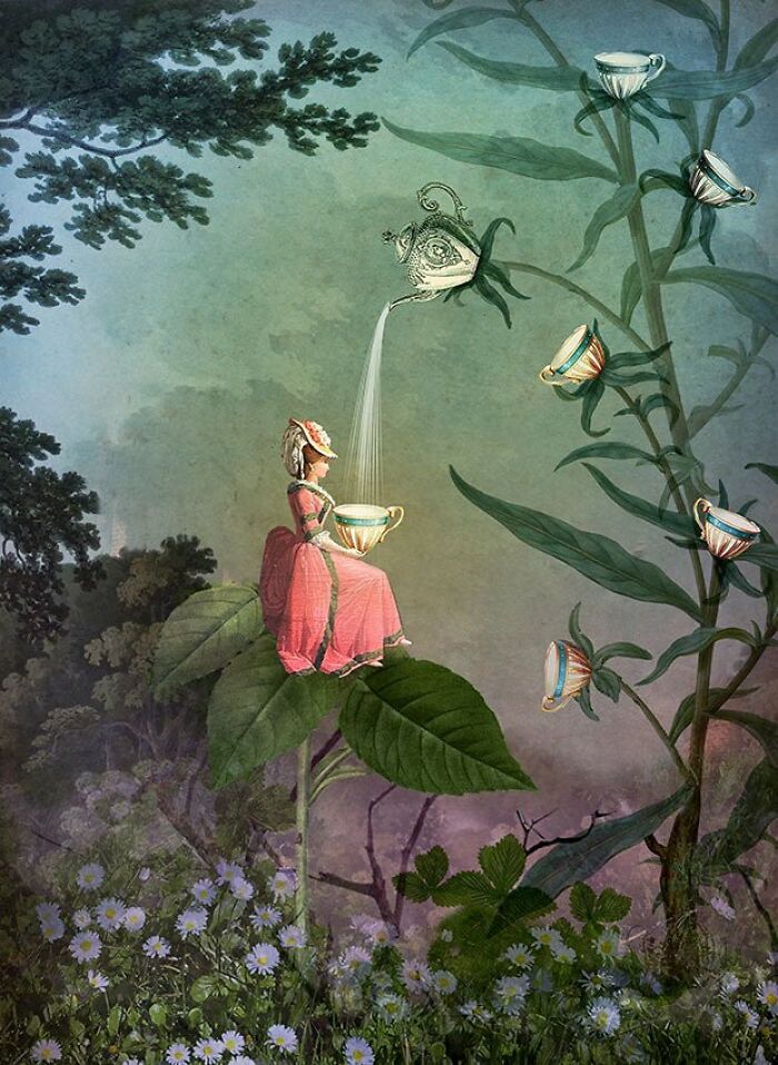 Green Tea Moments