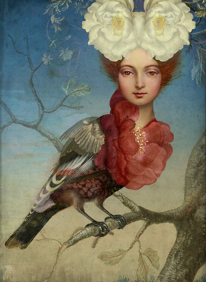 Paradise Bird