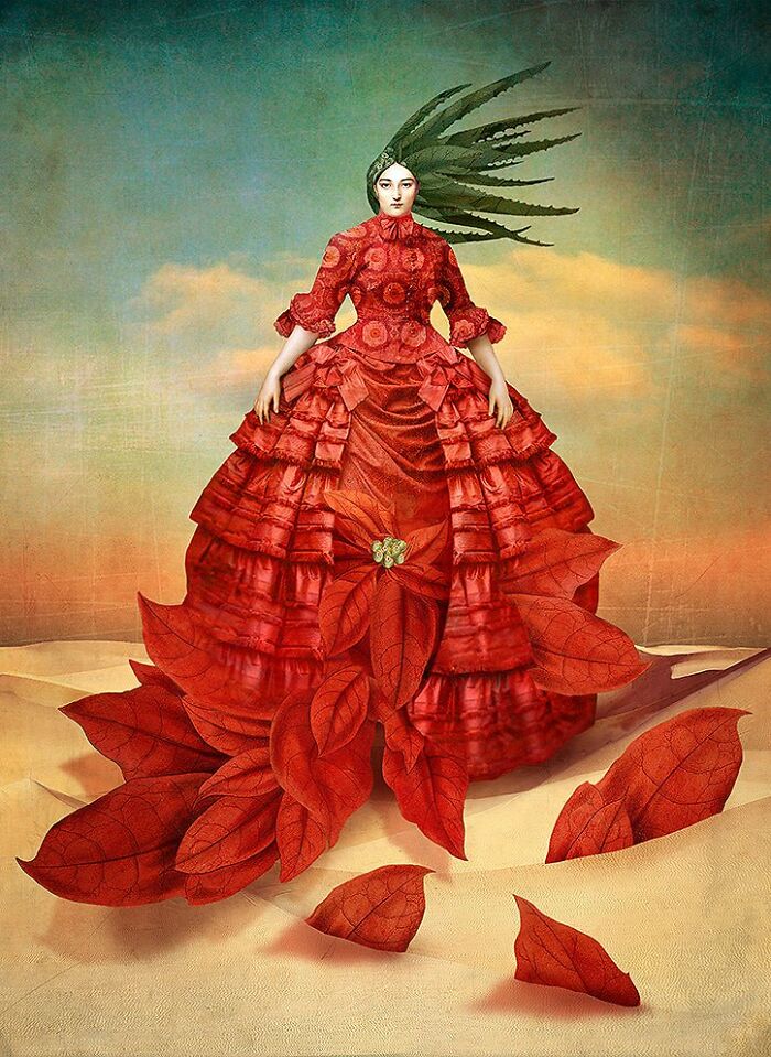 Desert Flower Dreams