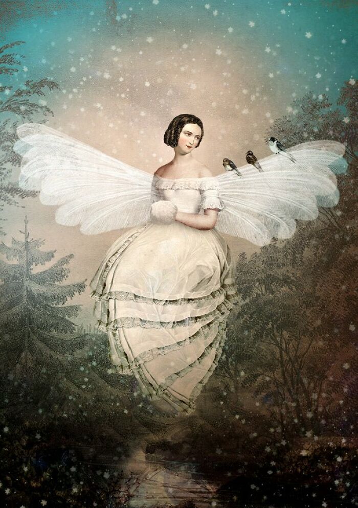 Winter Moth Whispers