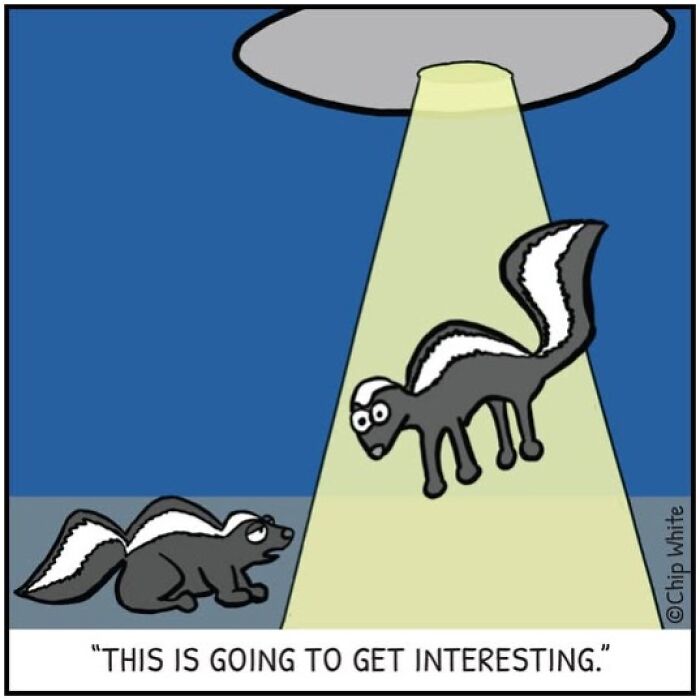 40 Blob Life Comics That Take Normal Stuff and Make it Hilariously Weird