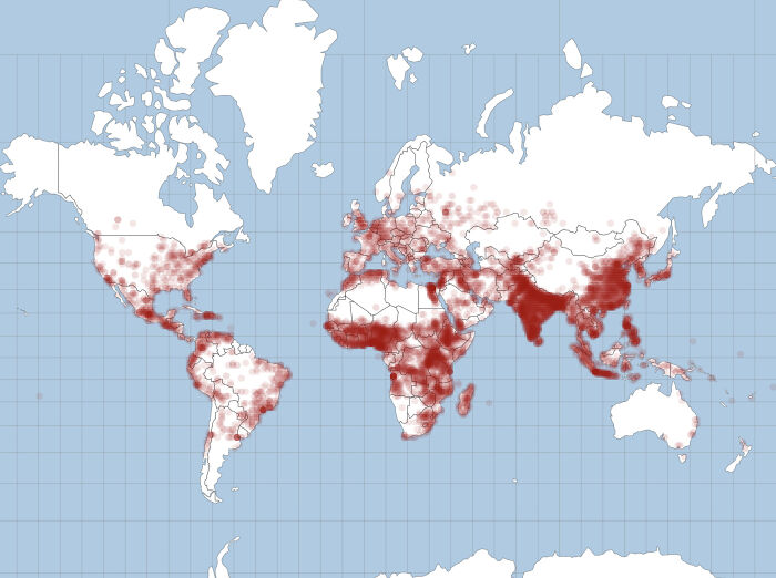 Wait, They Made Maps For That?!