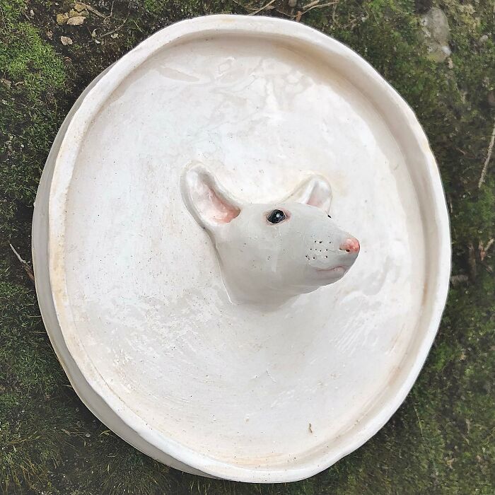 Quirky Ceramic Critters That'd Totally Steal Your Heart (And Maybe Your Salt)