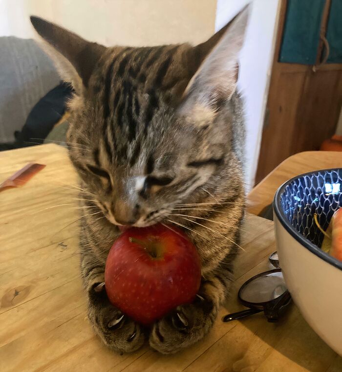 Tried To Take Back The Apple… Now I’m Not So Sure