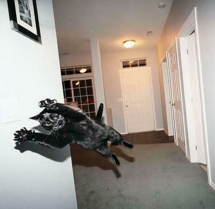 Ambush! The Claws Are Out, Prepare Yourself