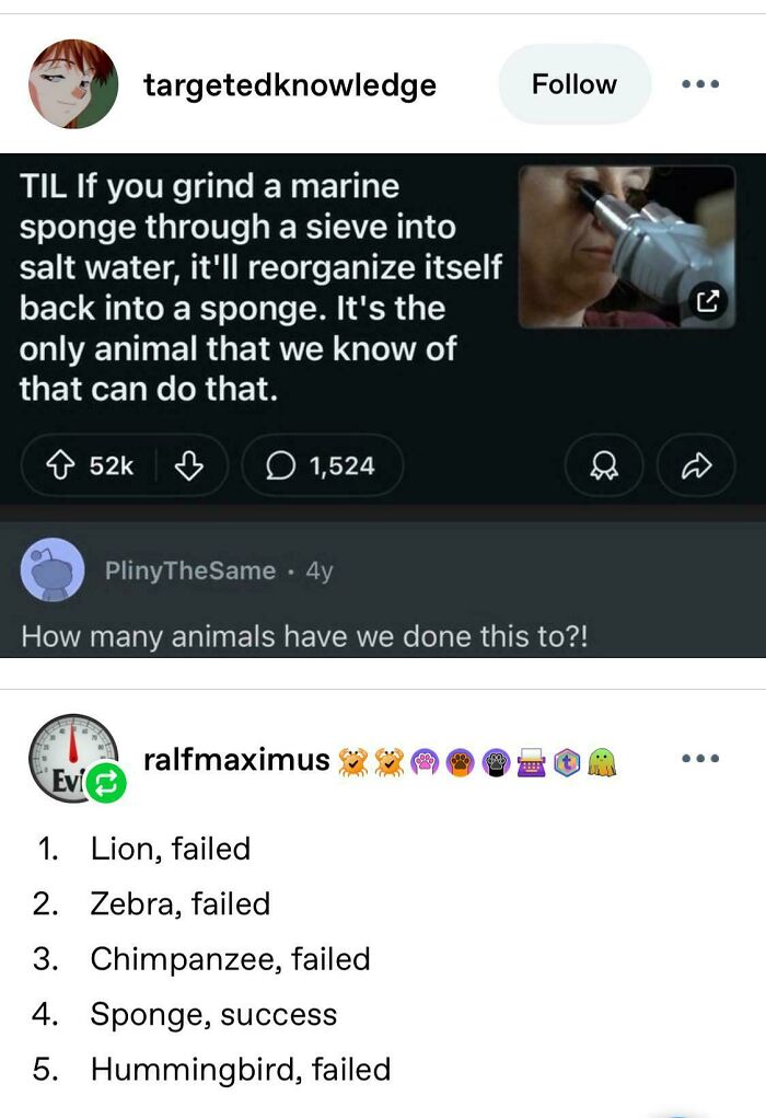 Wait, They Actually Made These Tumblr Posts?!