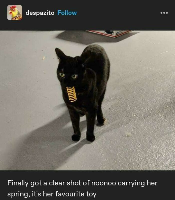 Wait, They Actually Made These Tumblr Posts?!