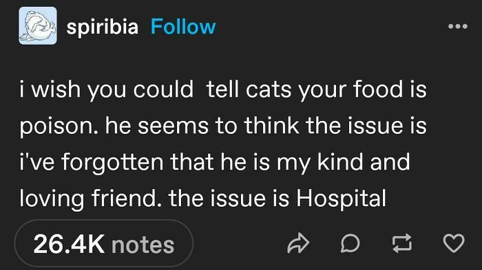 Wait, They Actually Made These Tumblr Posts?!