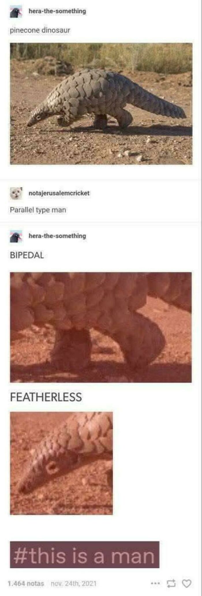 Wait, They Actually Made These Tumblr Posts?!