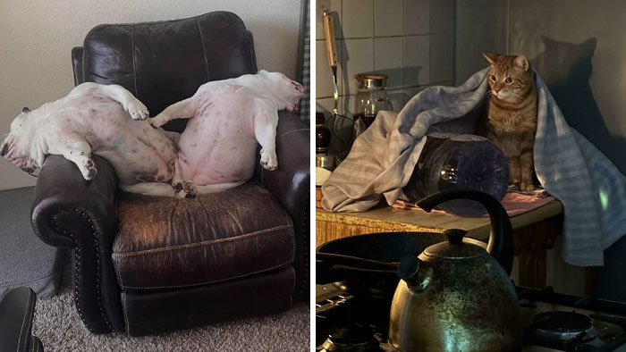 Oops! These Photos Look Like Renaissance Paintings—No Joke!