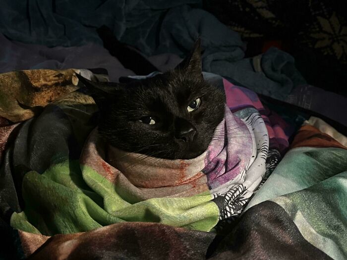 Comfort Level: Maximum