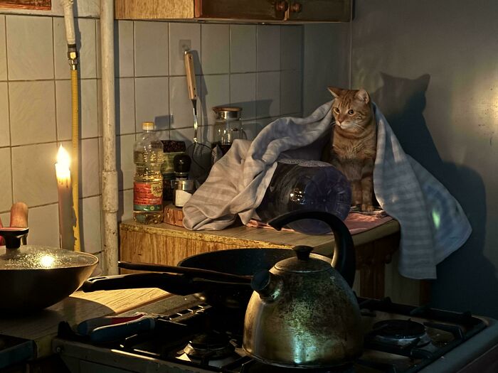 Sick Cat Nathan’s Cozy Warm-Up