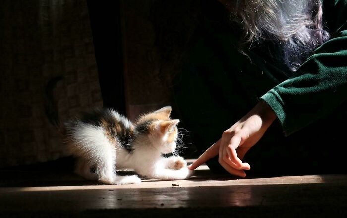 Late Afternoon Playtime = Pure Gold