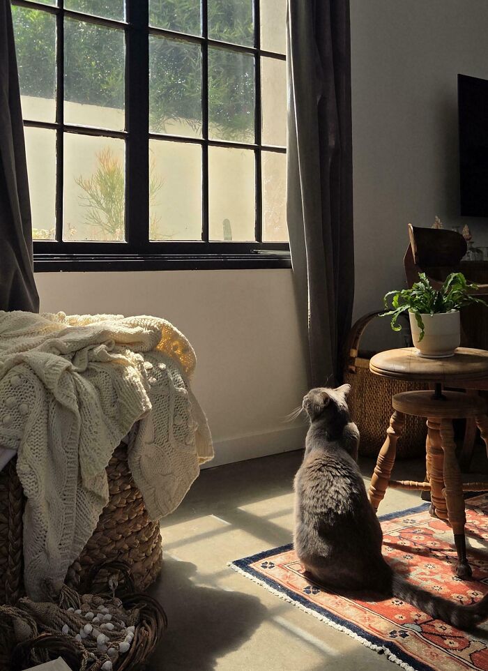 This Guy’s All Deep Thoughts and Renaissance Vibes
