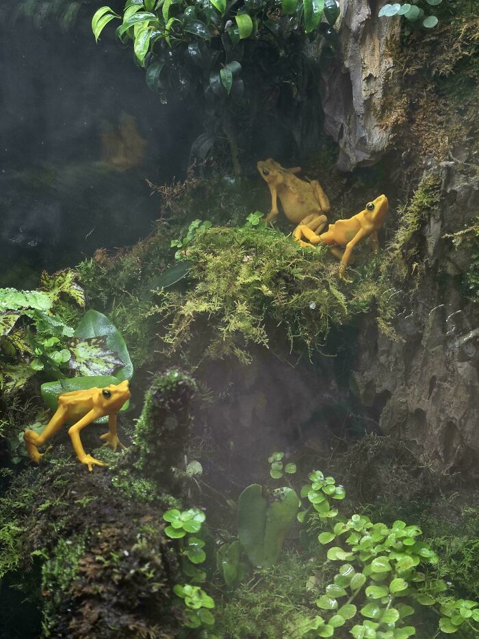 Just Another Ordinary Day At The Zoo… Or Is It?