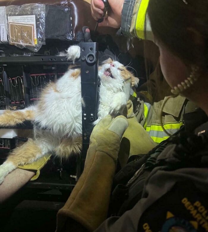 Oops! These Photos Look Like Renaissance Paintings—No Joke!