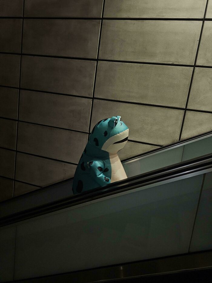 Oops! These Photos Look Like Renaissance Paintings—No Joke!
