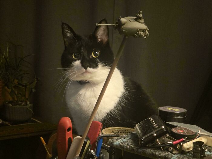 Oops! These Photos Look Like Renaissance Paintings—No Joke!