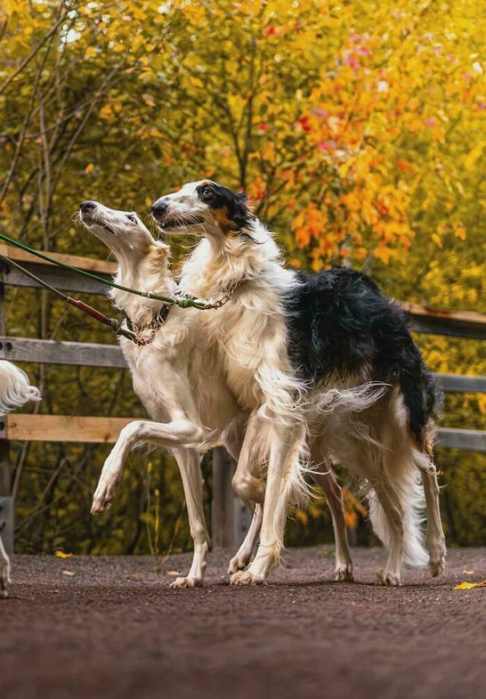 Oops! These Photos Look Like Renaissance Paintings—No Joke!