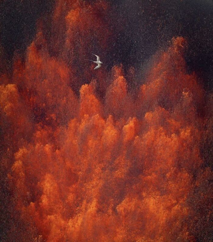 Oops! These Photos Look Like Renaissance Paintings—No Joke!