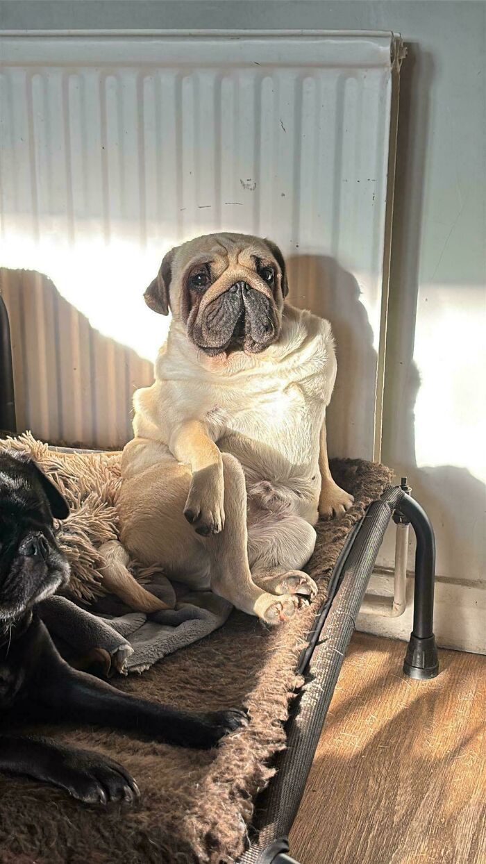 Oops! These Photos Look Like Renaissance Paintings—No Joke!