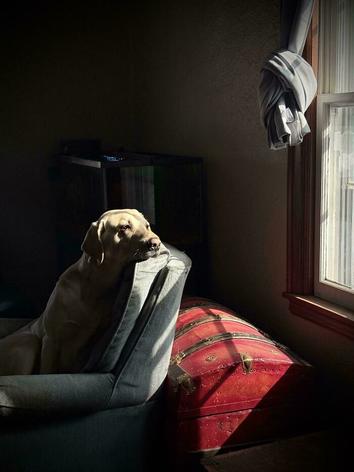 Oops! These Photos Look Like Renaissance Paintings—No Joke!
