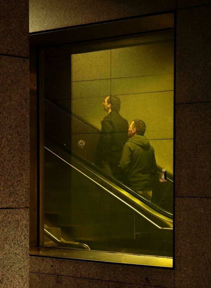 Oops! These Photos Look Like Renaissance Paintings—No Joke!