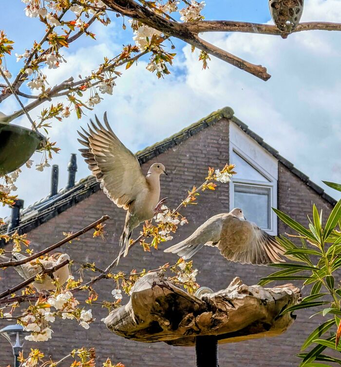 Oops! These Photos Look Like Renaissance Paintings—No Joke!