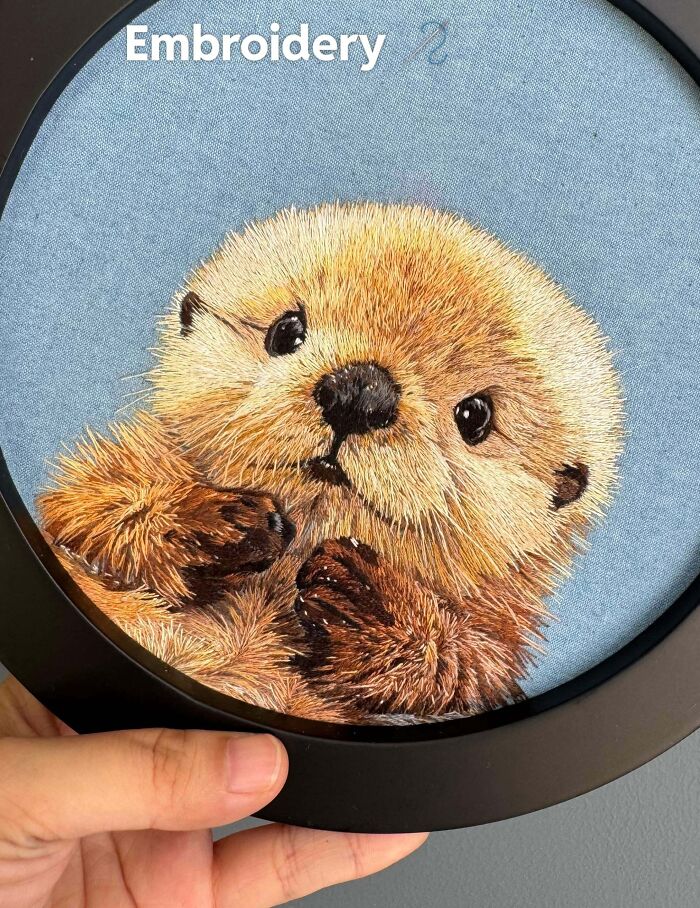 Baby Otter Wants to Say Hi!