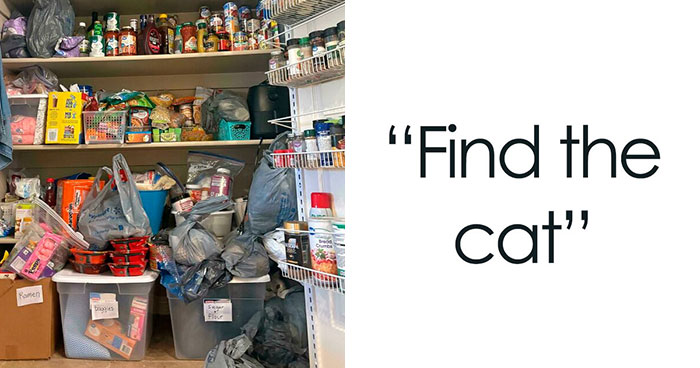 Wait, Where’s That Hidden Thing?! Epic Hide-and-Seek Pics You Gotta Try!