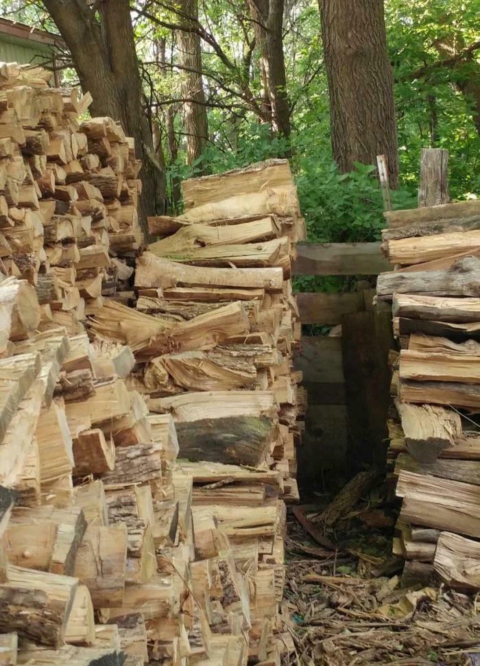 Spot the Cat That’s Basically A Wooden Log