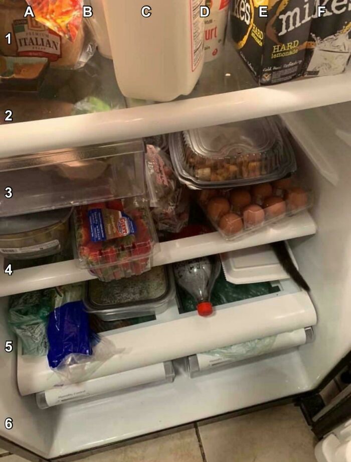Almost Closed the Fridge… With My Cat Inside LOL