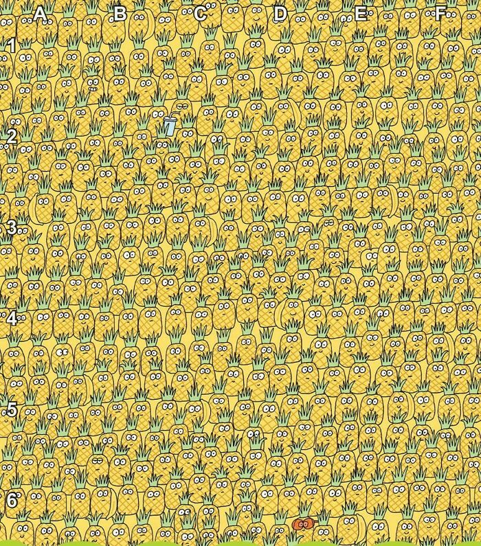 Find The Apple That’s Just Too Sneaky
