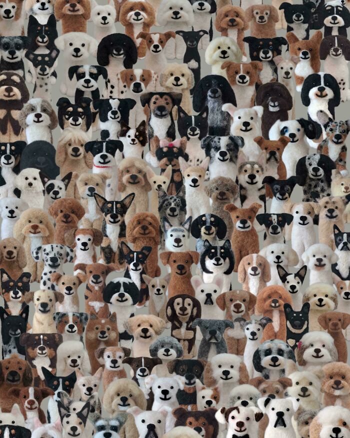Which One’s The Real Dog? Spot It!