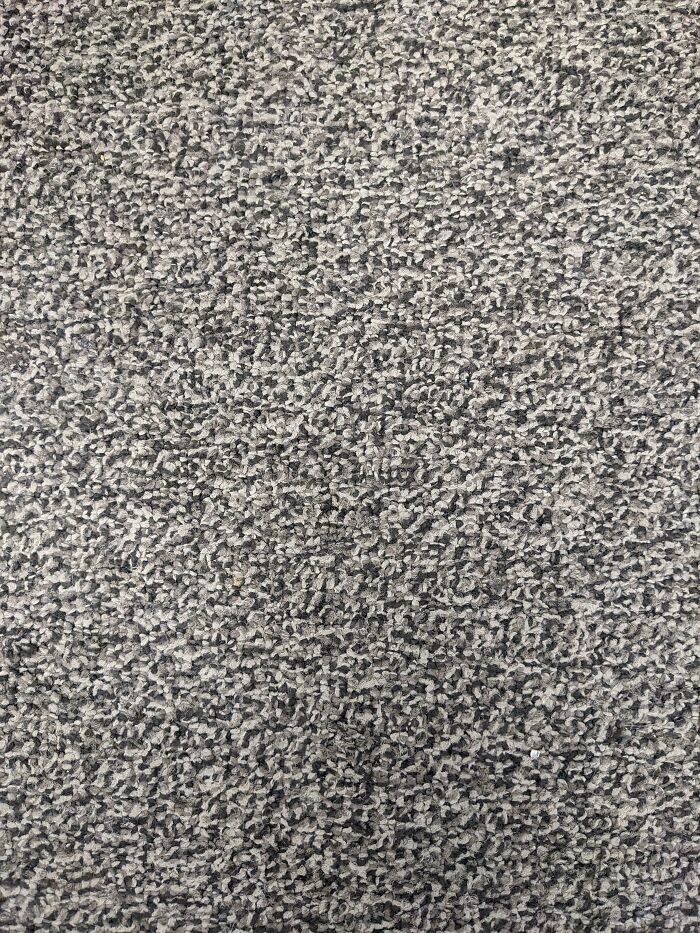 Find The Grain Of Sugar Lost In Plain Sight