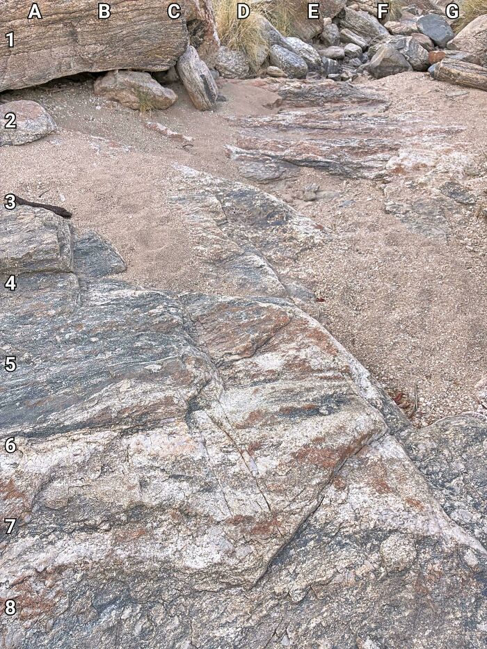 Find The Sneaky Snake