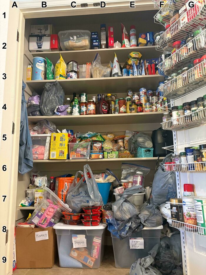 Find The Cat That Totally Nailed Its Disguise