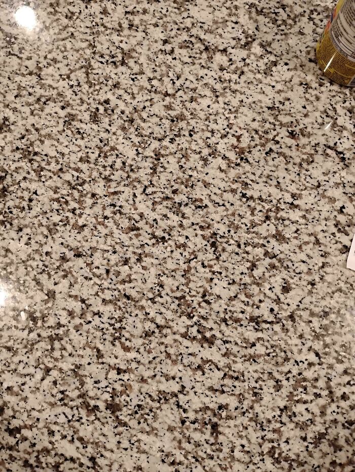 My Kid Dropped A Toy Snail. Can You Find It?