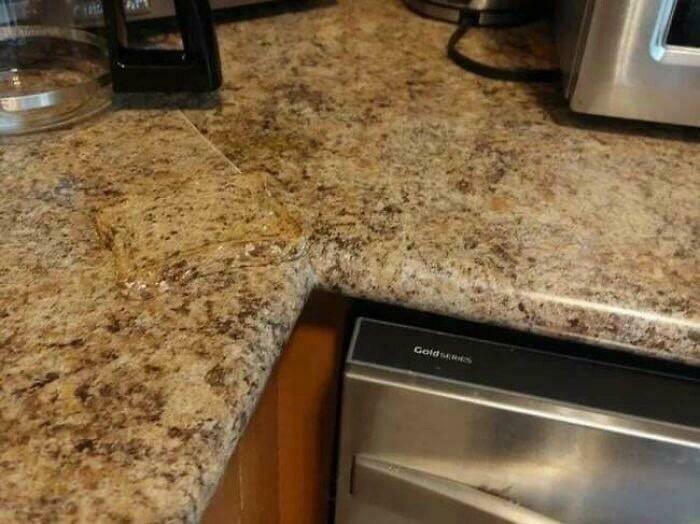 Find The Toast Disguised As Part Of The Table