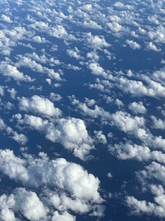 Find The Cruise Ship Hiding In Plain Sight
