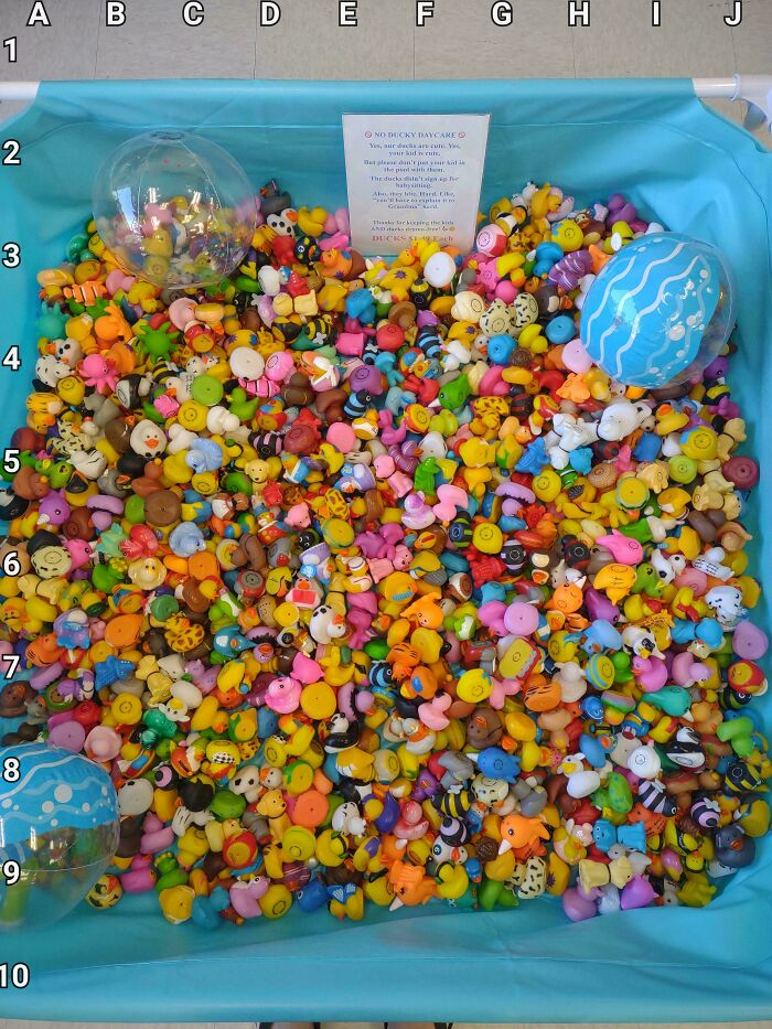 Find The Giraffe (Not The Rubber Duck One!)