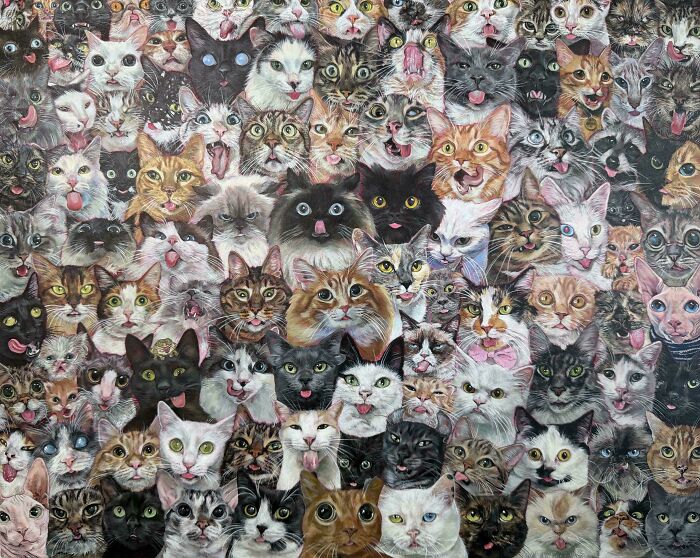 Find The Imposter Amphibian Among The Silly Cats