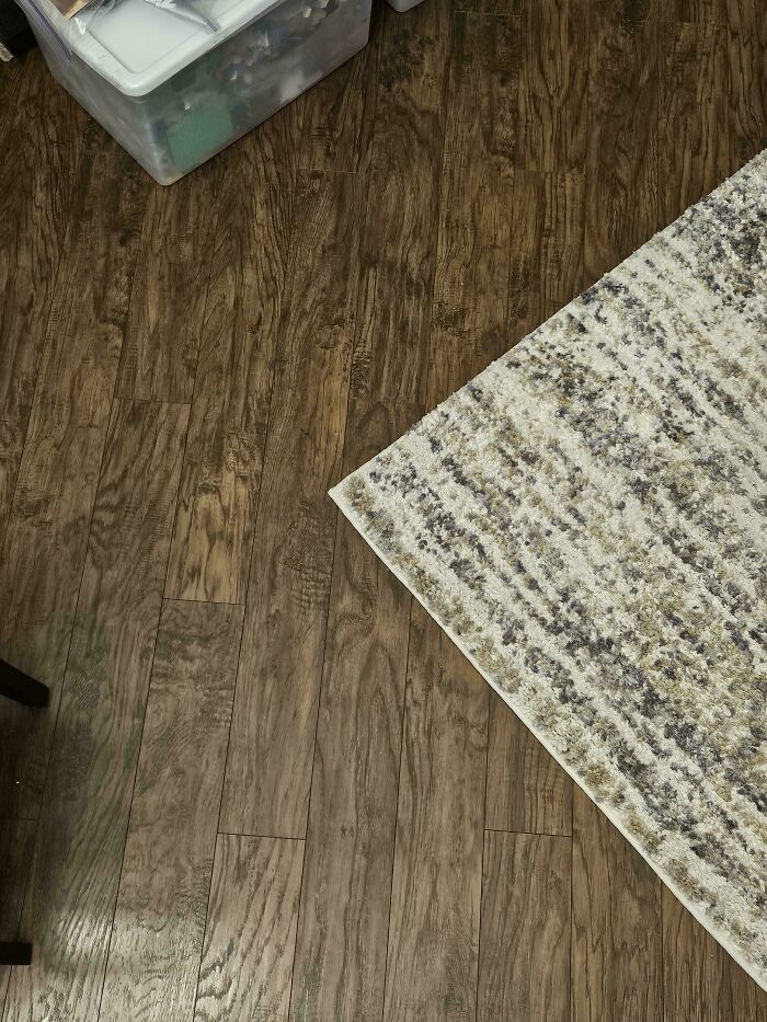Find The Scorpion Ready To Sting You With Its Camouflage