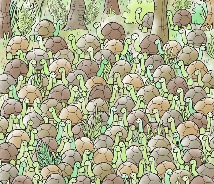 Spot The Snake Being Super Sneaky