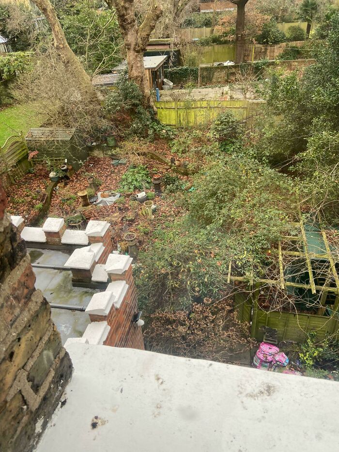 Find The Three Foxes Napping Like Champs