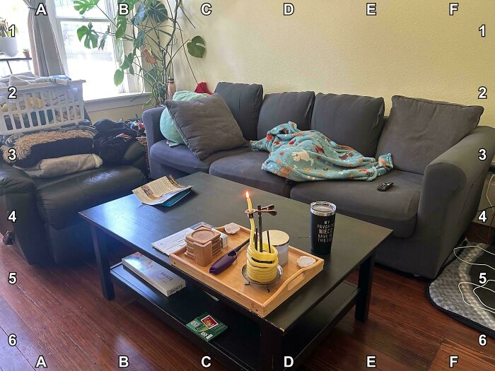 Find The Secret Snoot (Pup)