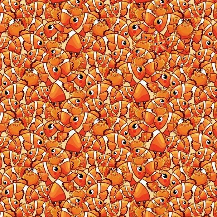 Only 1% With Shark Eyes Can Spot The Starfish In 5 Seconds